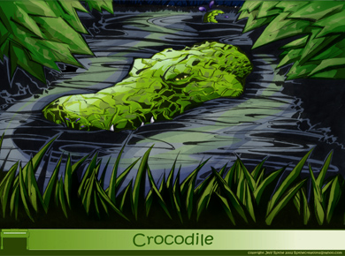 Crocodile Illustration