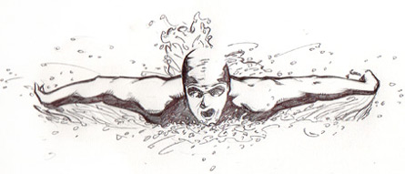 Sketches Swimmer