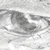 Rothecreations Sketch 12 Thumbnail